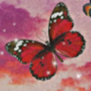 Meet your Posher, Gabby